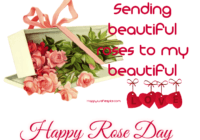 Rose Day Wishes For My Love