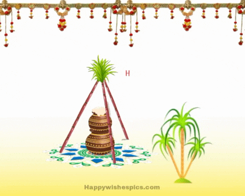 Happy Pongal 2023 Gif Images, Animated | Wishes Pics